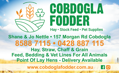 banner image for Cobdogla Fodder