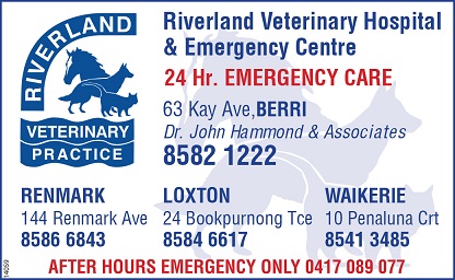 banner image for Riverland Veterinary Hospital & Emergency Centre