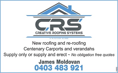 banner image for Creative Roofing Systems