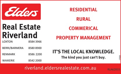 banner image for Elders Real Estate